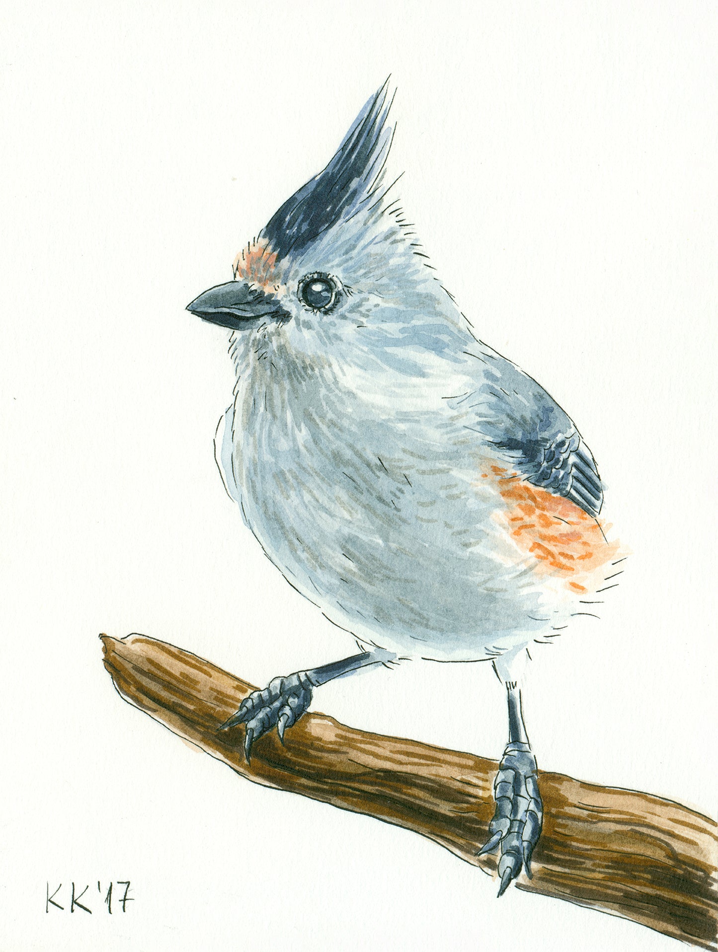 Titmouse on a branch watercolor painting