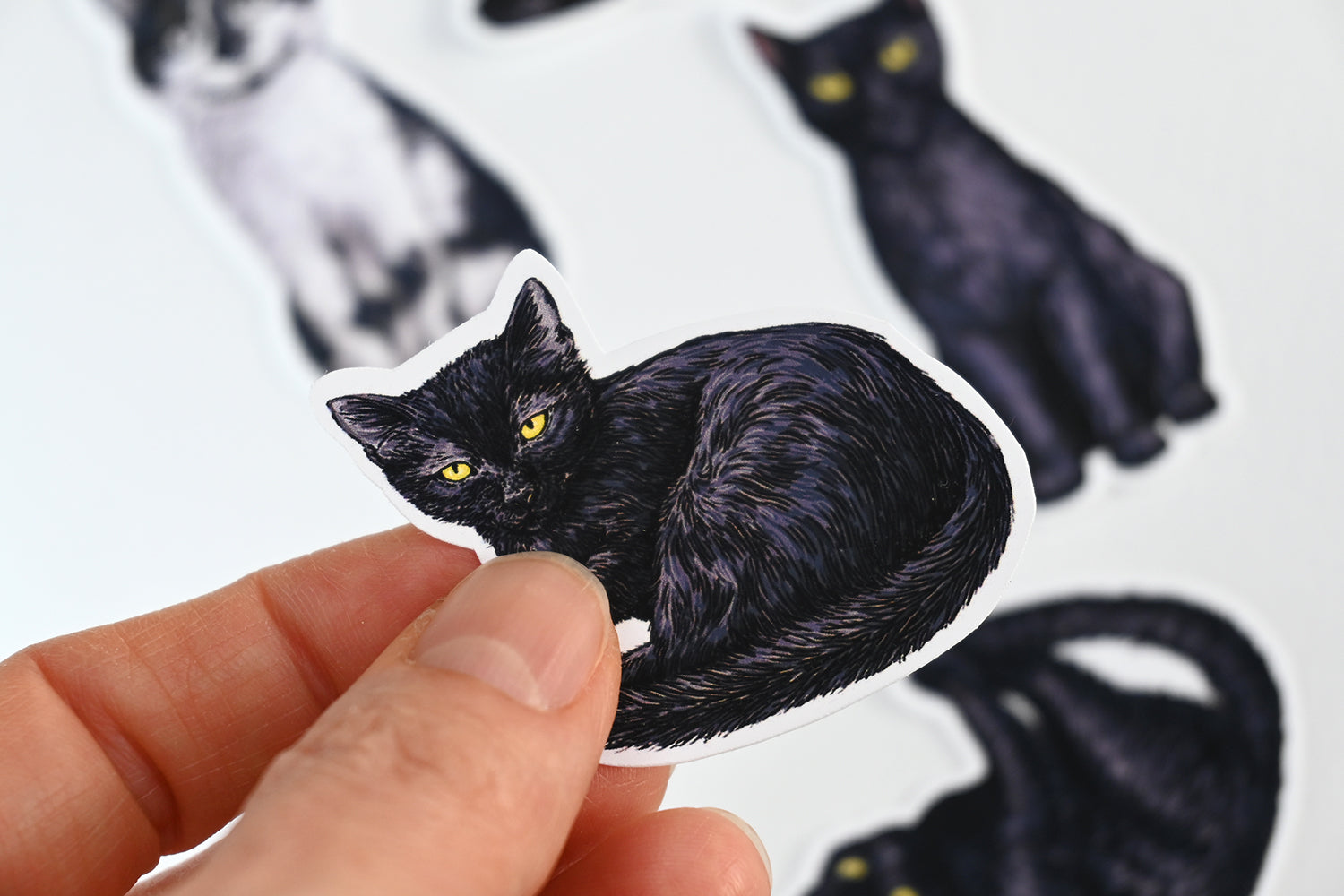 Hand holding a black cat sticker with more cat stickers in the background.