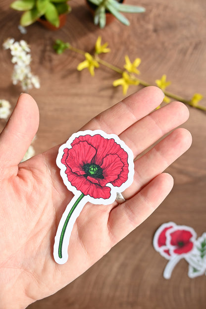 photo of a illustrated Red poppy laminated sticker