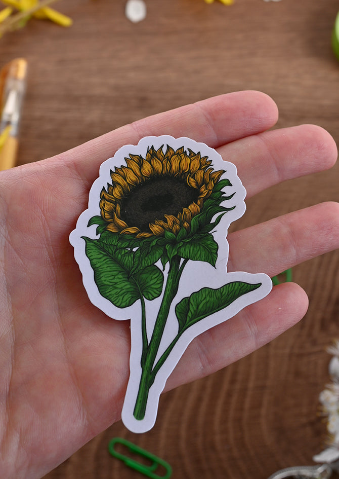 photo featuring laminated paper sticker with printed illustration of a sunflower