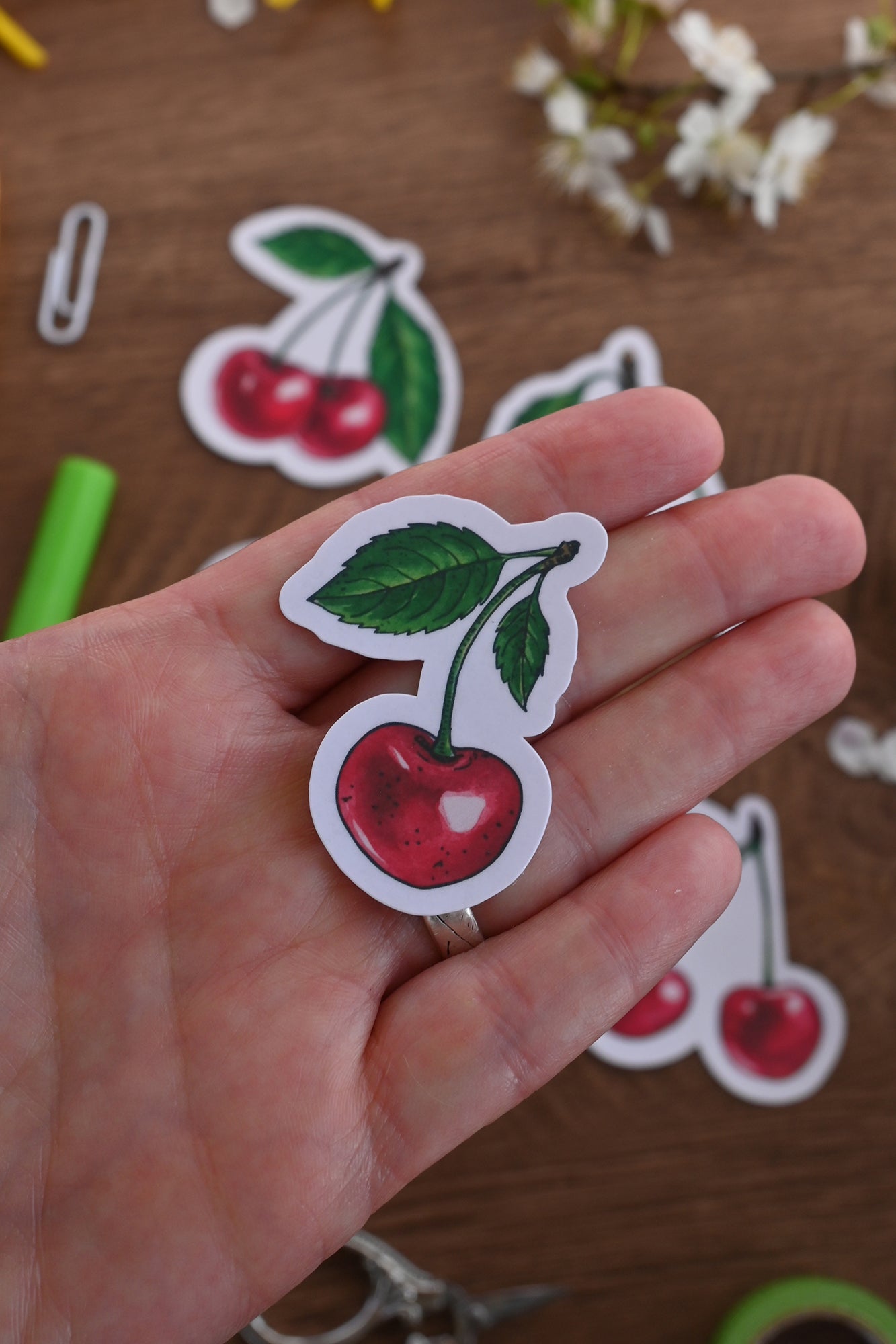 photo of laminated paper sticker featuring a cherry fruit with leaf