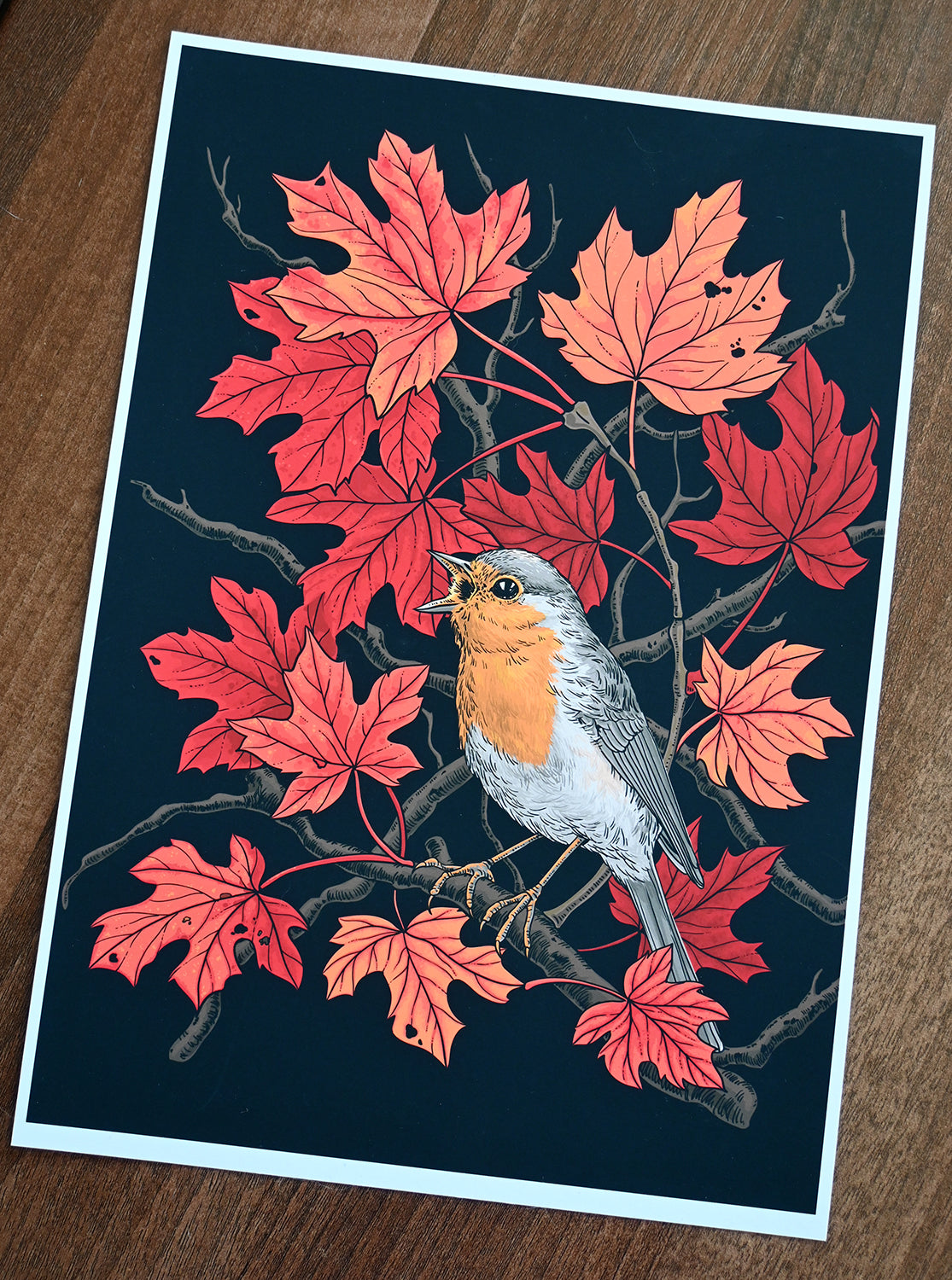 Illustration of a robin bird on a branch with red leaves on a dark background