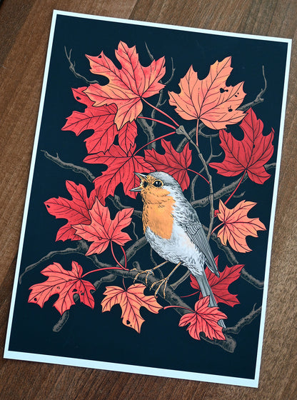 Illustration of a robin bird on a branch with red leaves on a dark background