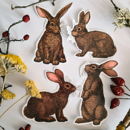 Rabbit stickers