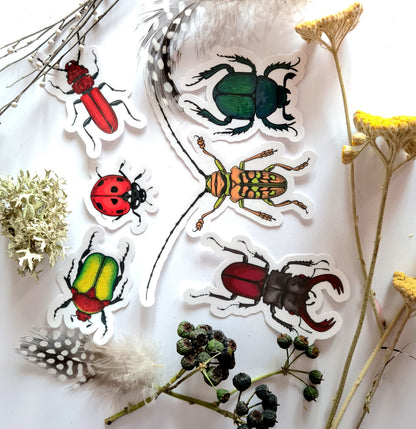 Beetles journal stickers