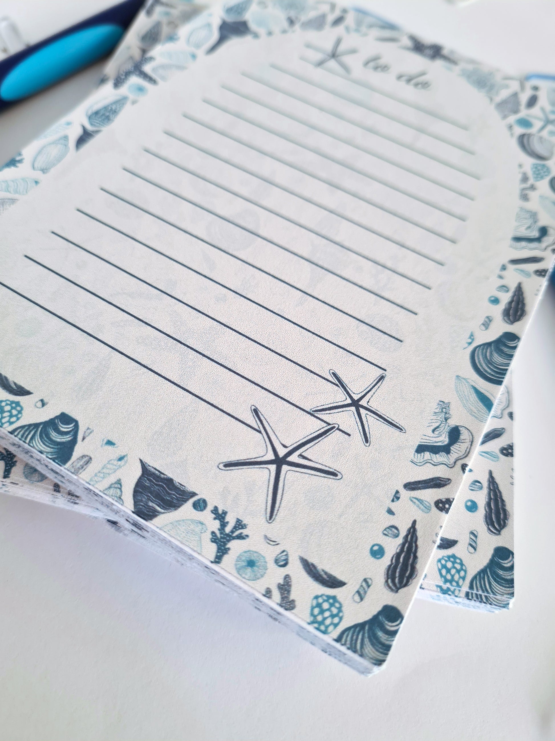 notepads ilustrated with hand-painted Seashells pattern