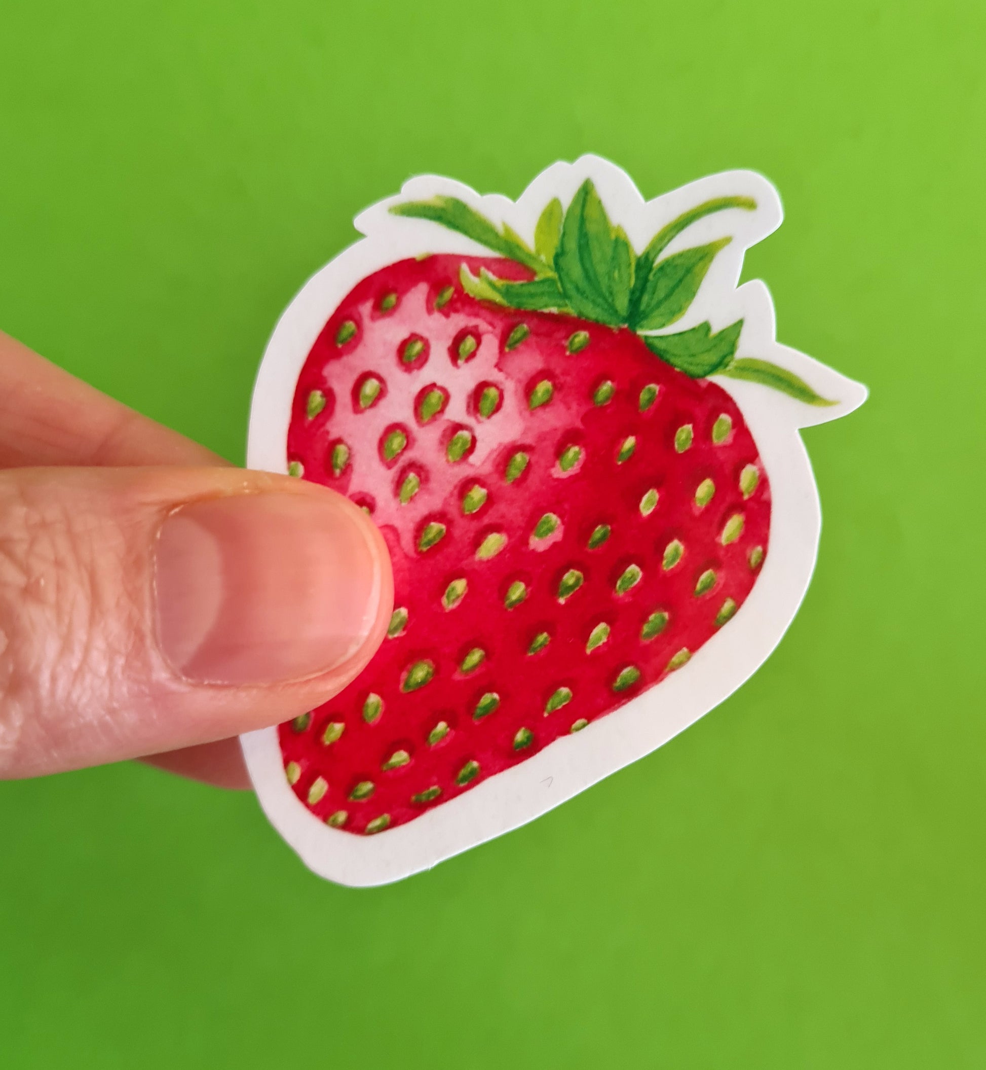 photo of a sticker featuring a strawberry painted with watercolors