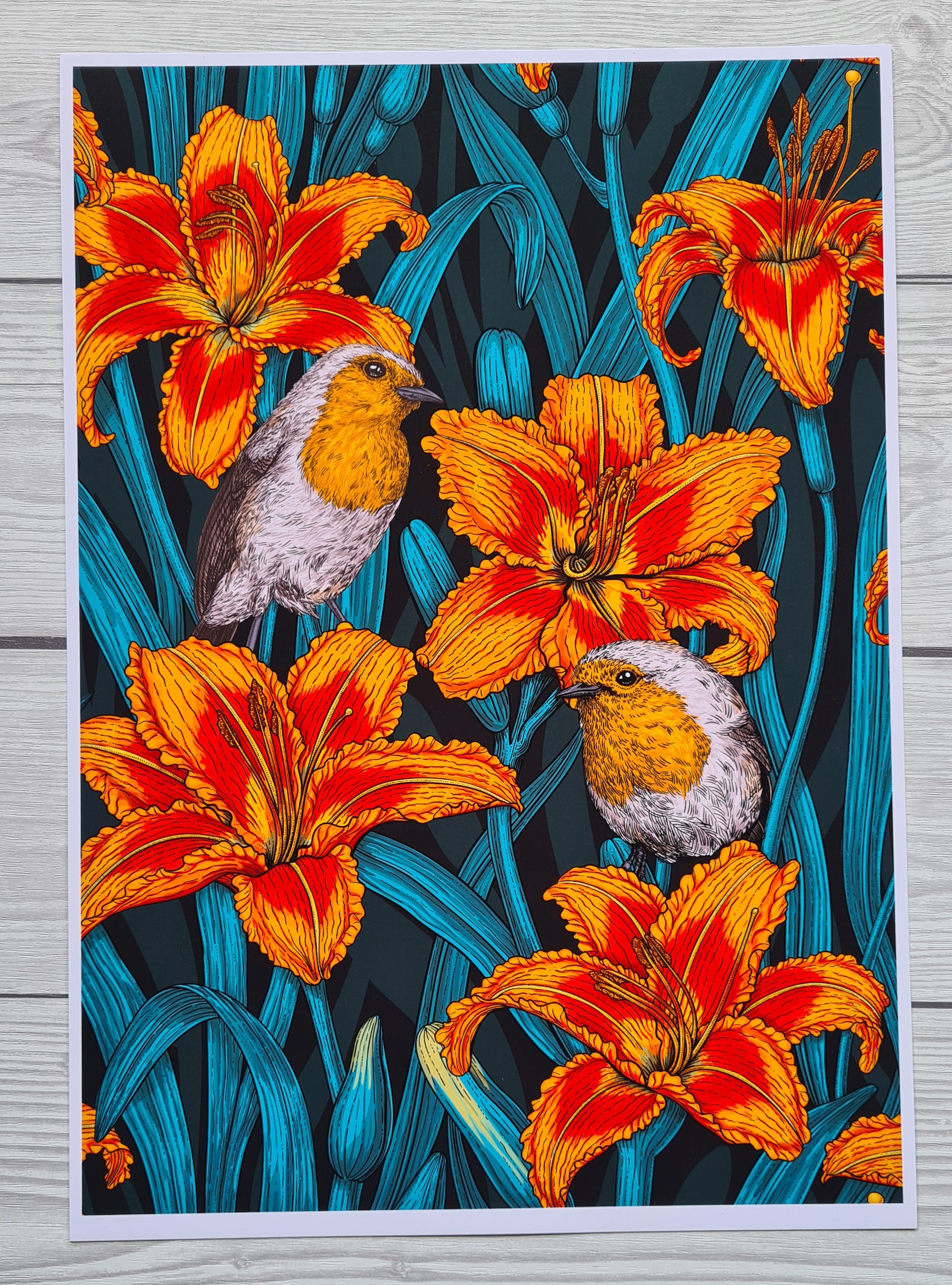 Photo of Robin birds and lily flowers art print