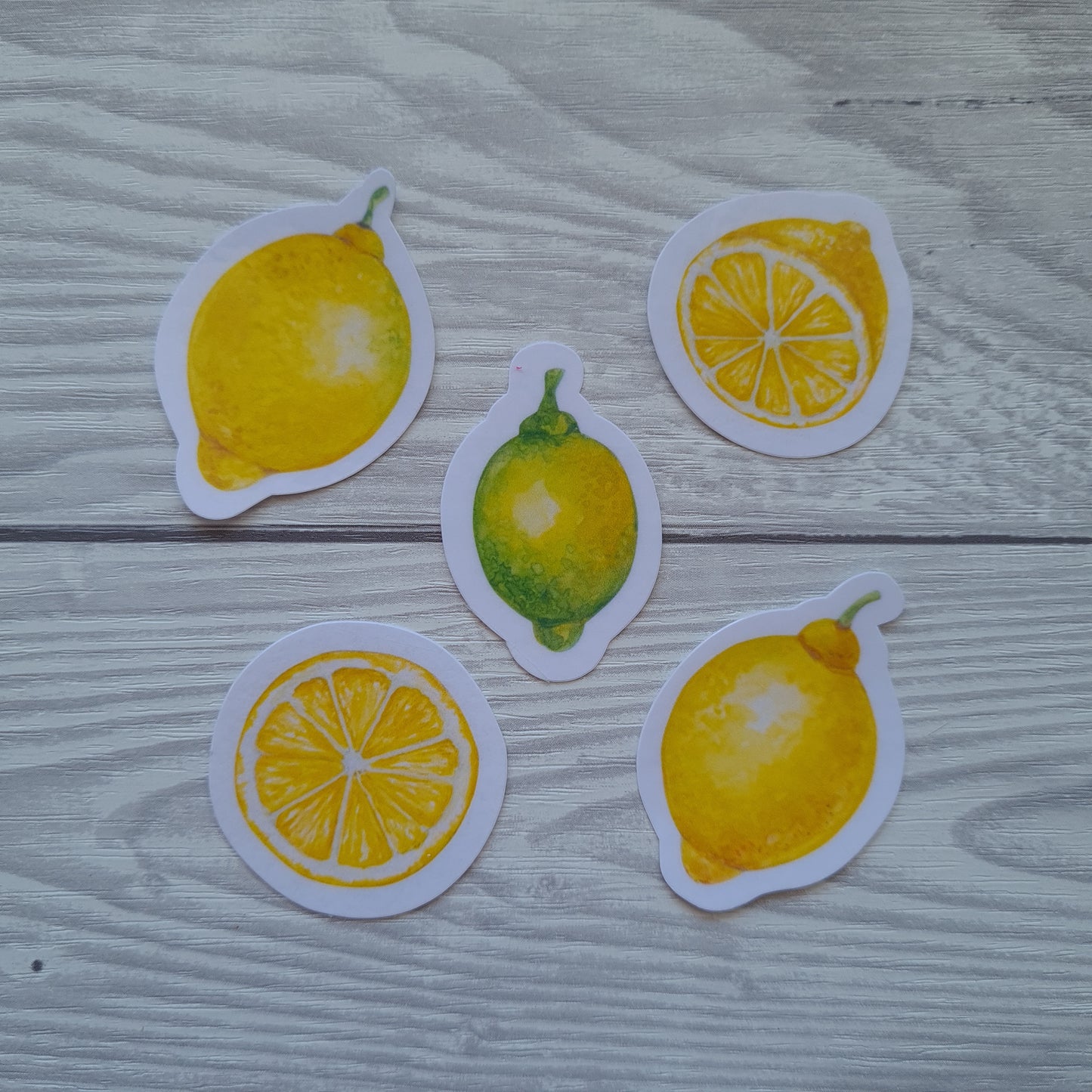 photo of set of 5 laminated stickers featuring lemons fruit painted with watercolors