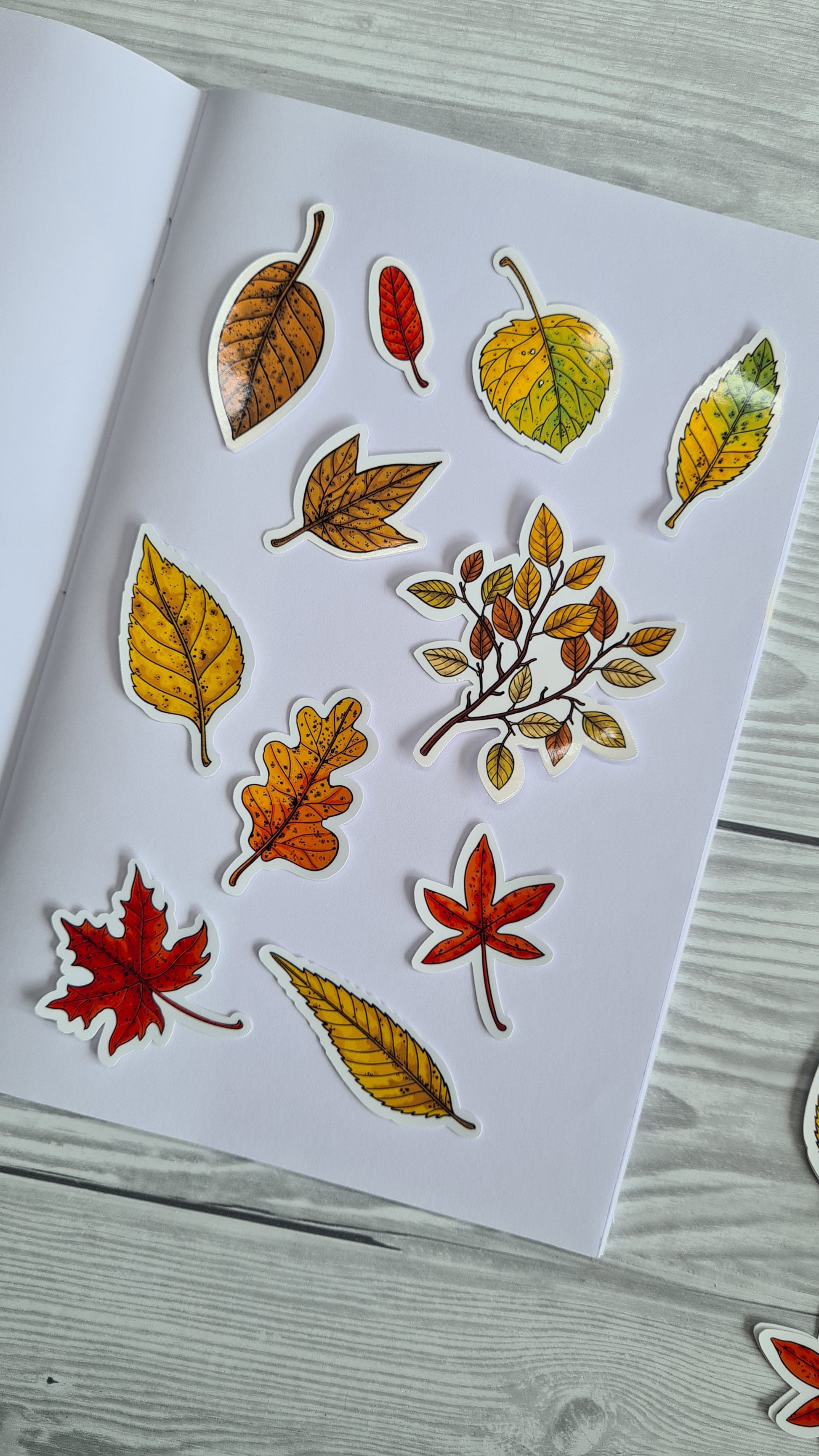 set of 11 semi- gloss vinyl stickers featuring beautifully painted autumn leaves