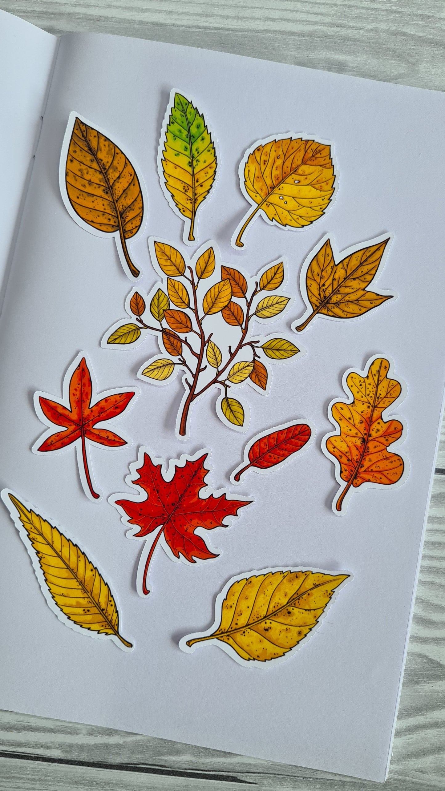 set of 11 matte vinyl stickers featuring beautifully painted autumn leaves