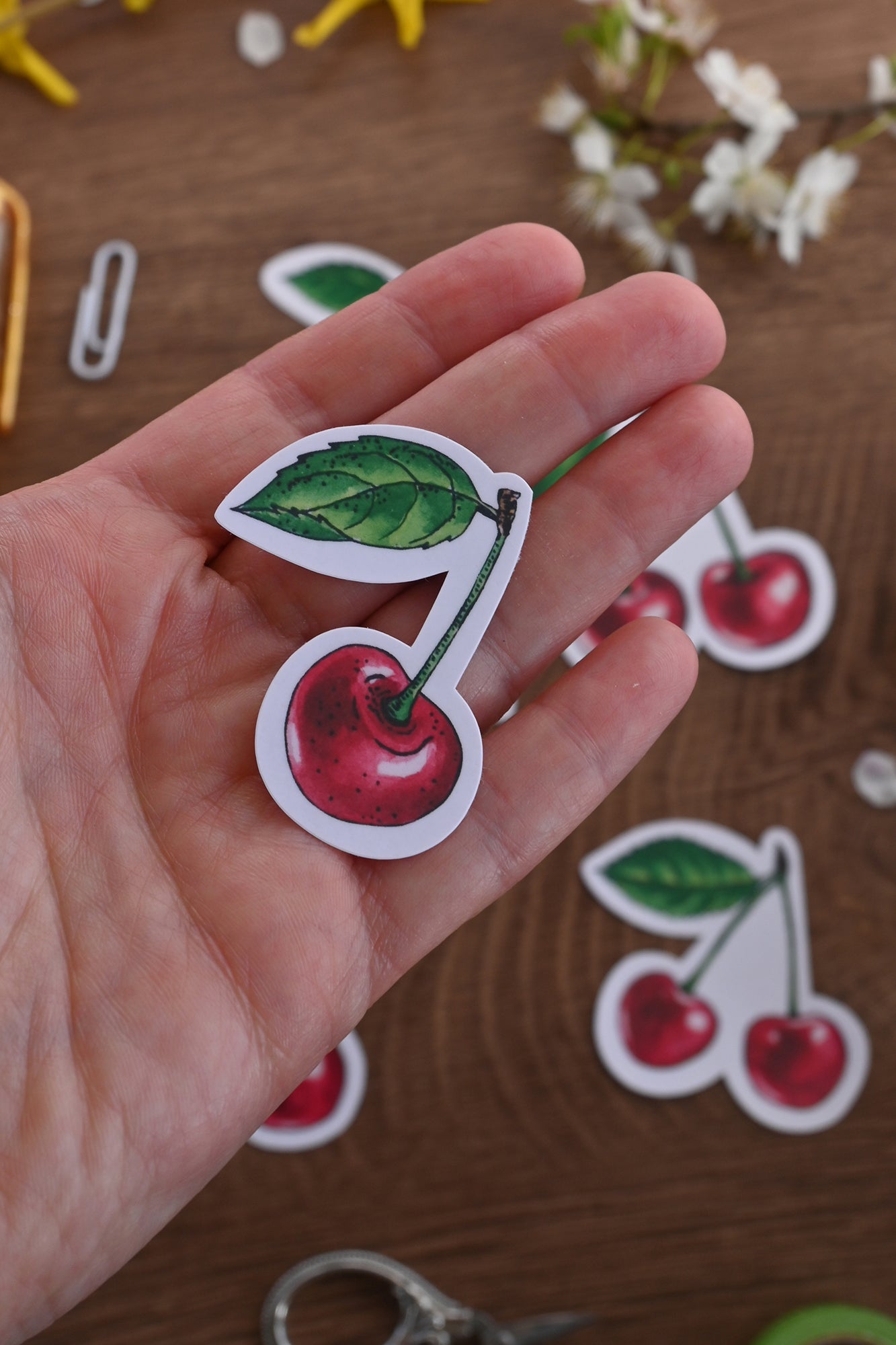 photo of laminated paper sticker featuring a cherry fruit with leaf