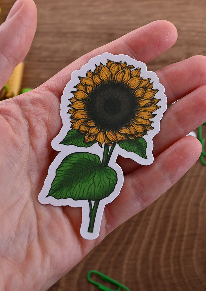 photo featuring laminated paper sticker with printed illustration of a sunflower