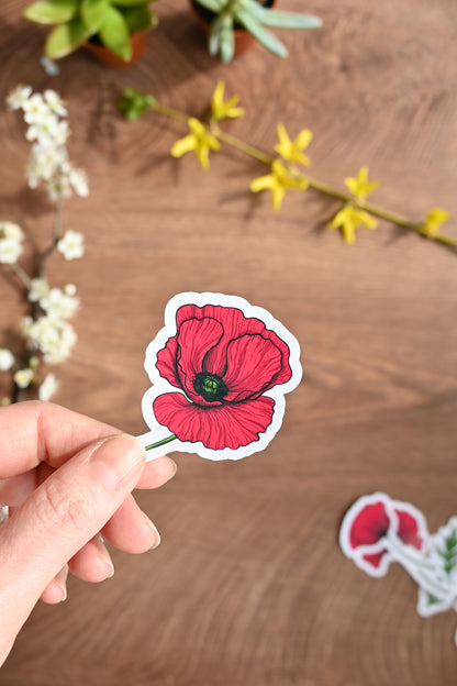 photo of a illustrated Red poppy laminated sticker