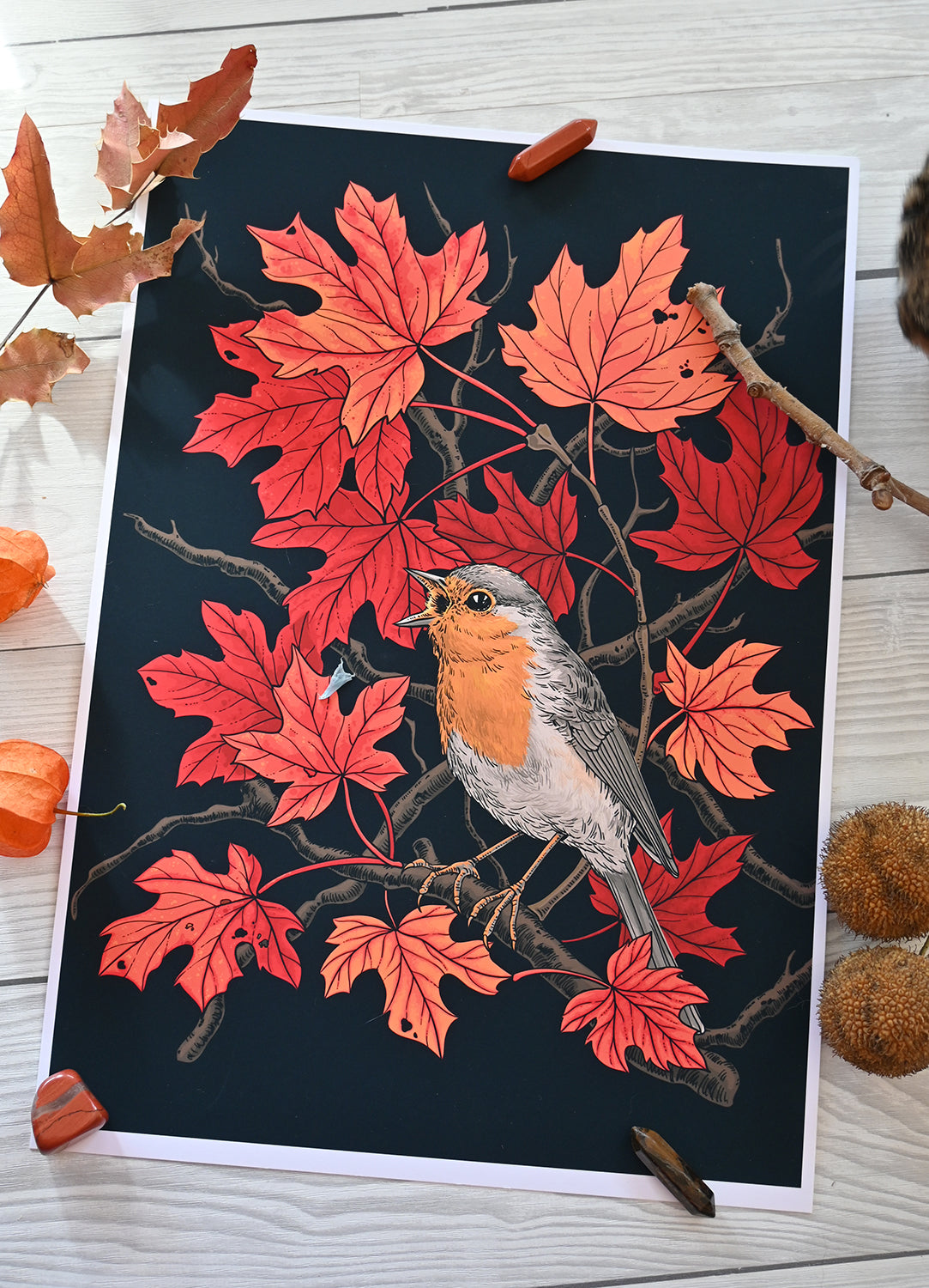 Illustration of a robin on red leaves with autumn elements on a white background