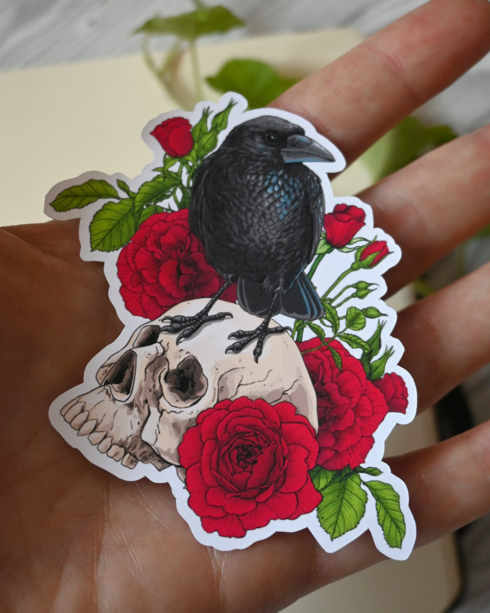 photo of a vinyl sticker with printed illustration of a raven perching on a human skull with red roses behind