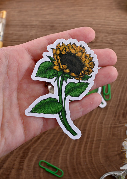 photo featuring laminated paper sticker with printed illustration of a sunflower