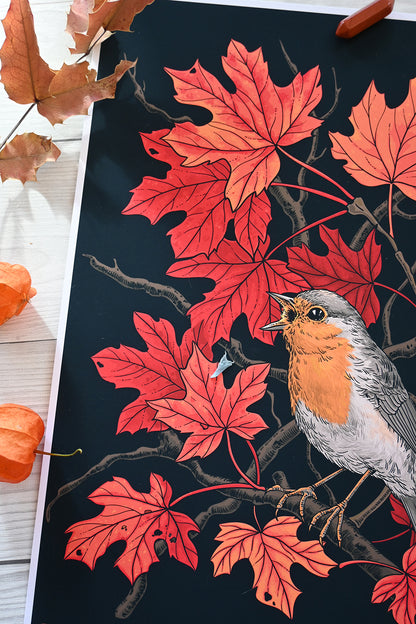 Illustration of a robin bird on a branch with red leaves against a black background