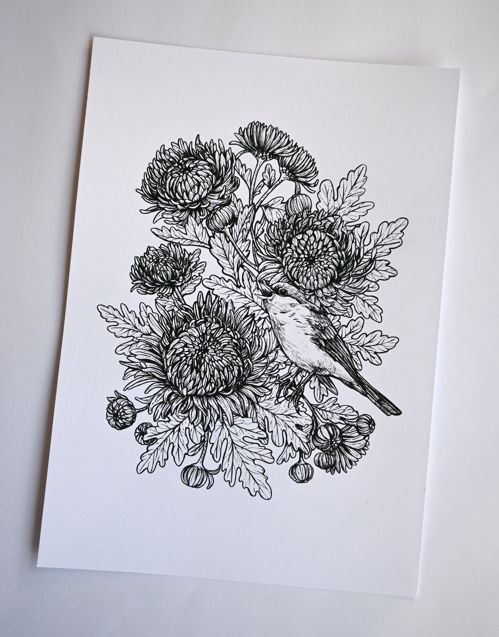 Black and white illustration of a bird among flowers on a white background