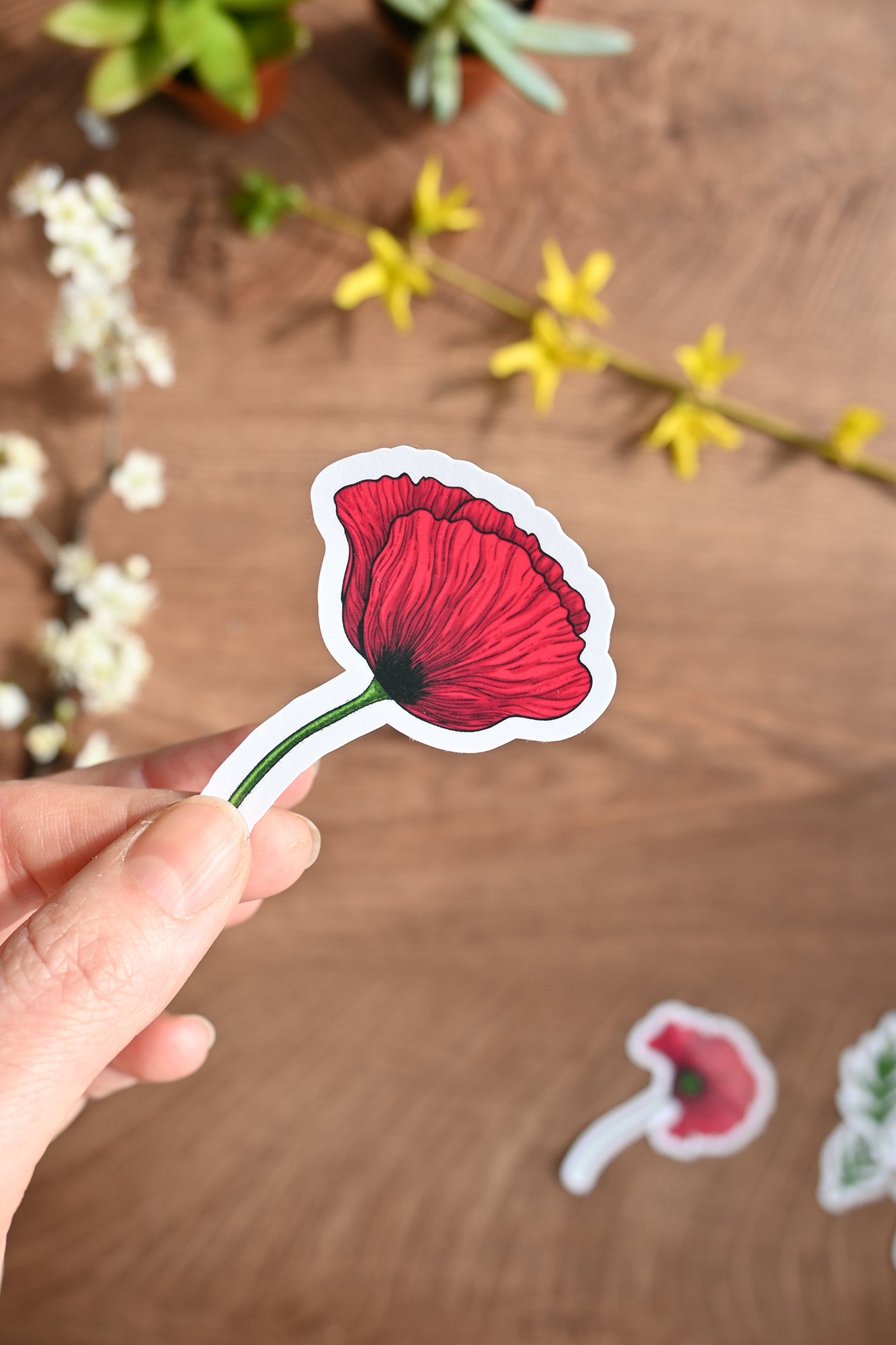 photo of a illustrated Red poppy laminated sticker