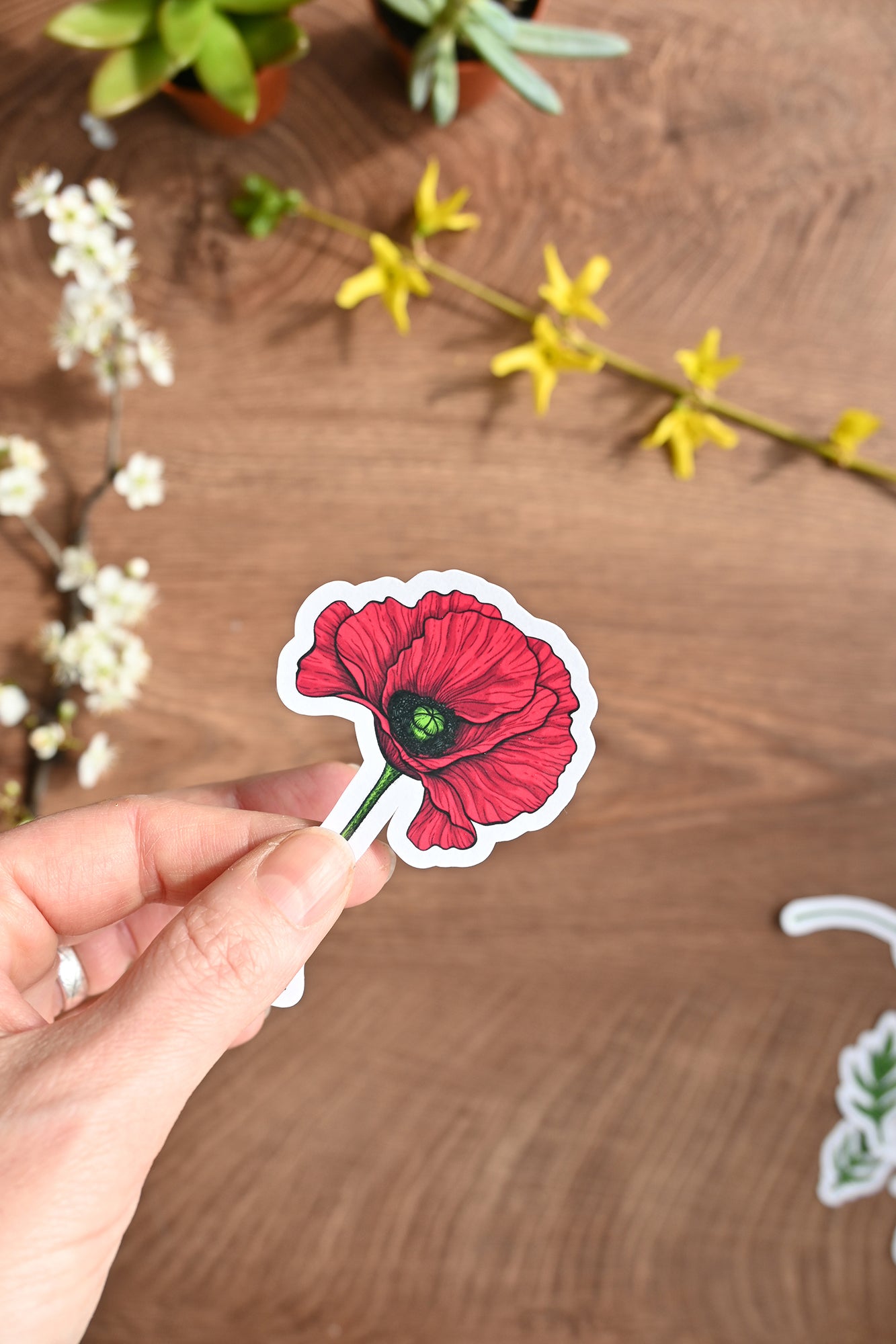 photo of a illustrated Red poppy laminated sticker