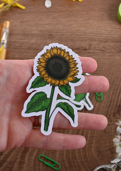 photo featuring laminated paper sticker with printed illustration of a sunflower