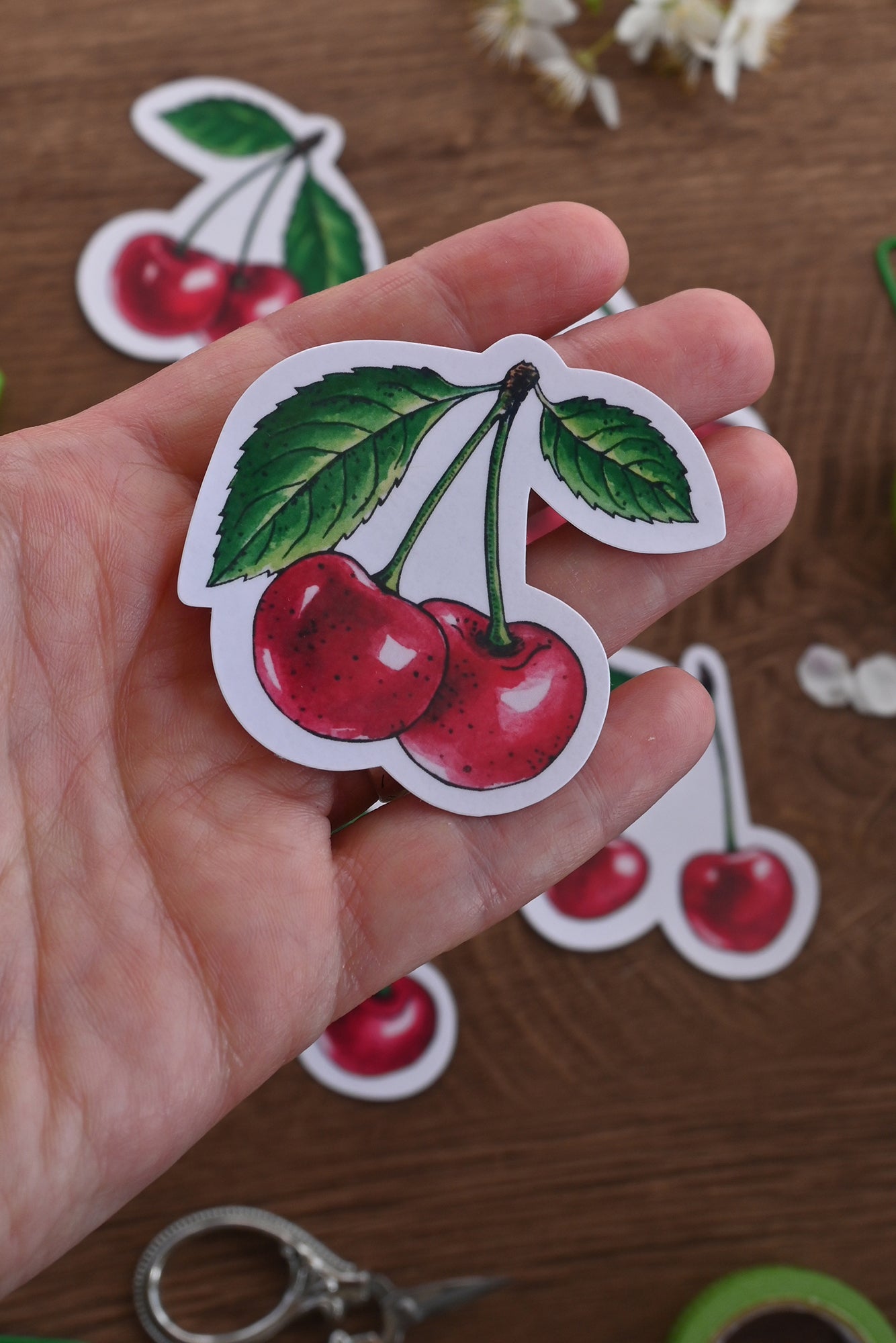 photo of laminated paper sticker featuring a pair of cherry fruits with leaves