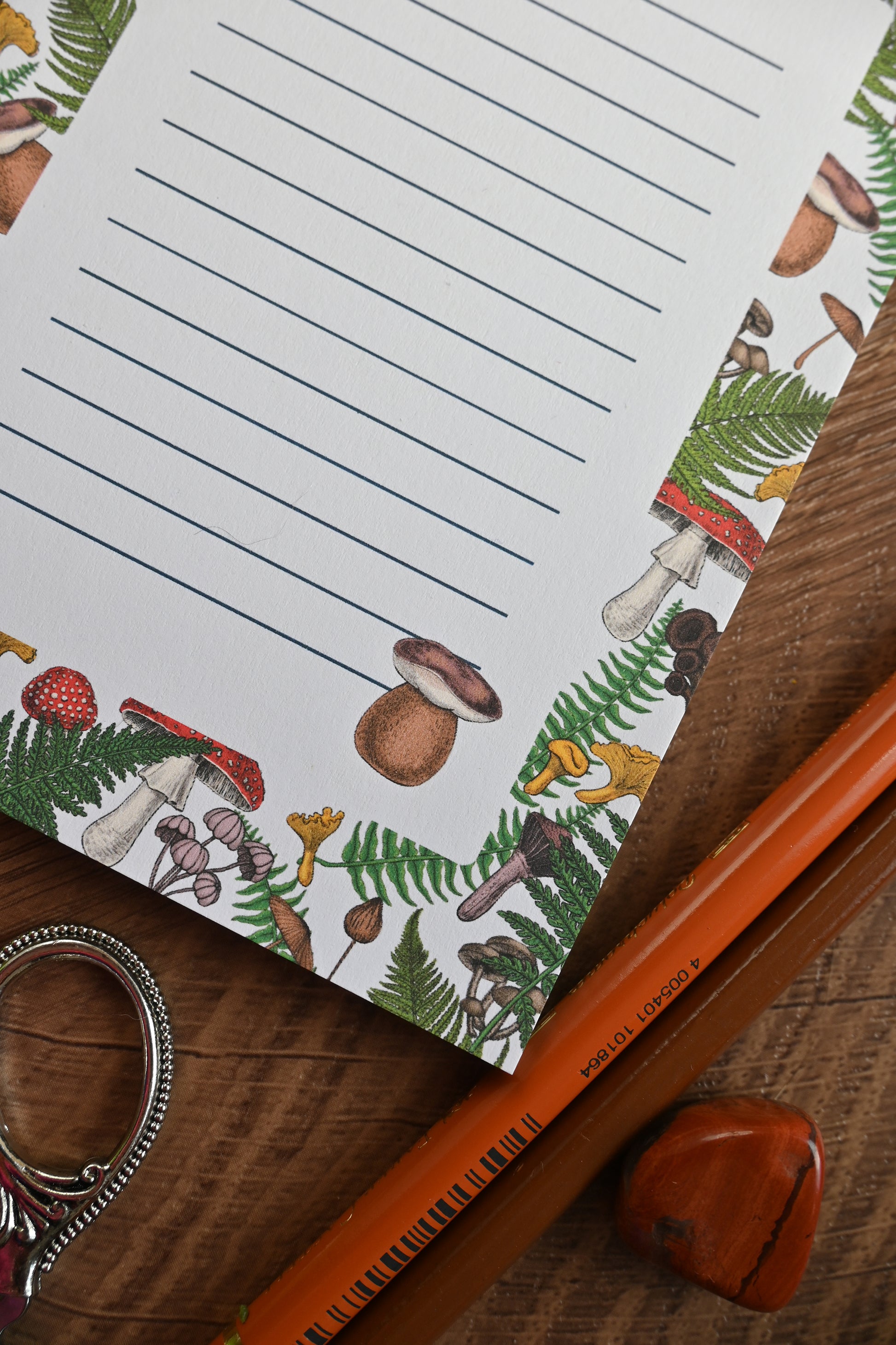 photo featuring a notepad illustrated with wild mushrooms and fern, corner close up