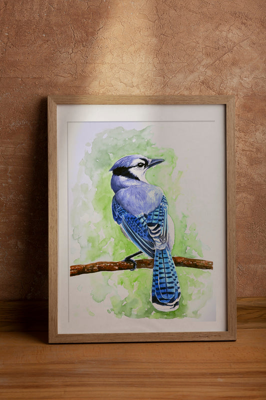 Framed artwork of a blue jay on a branch with a green background