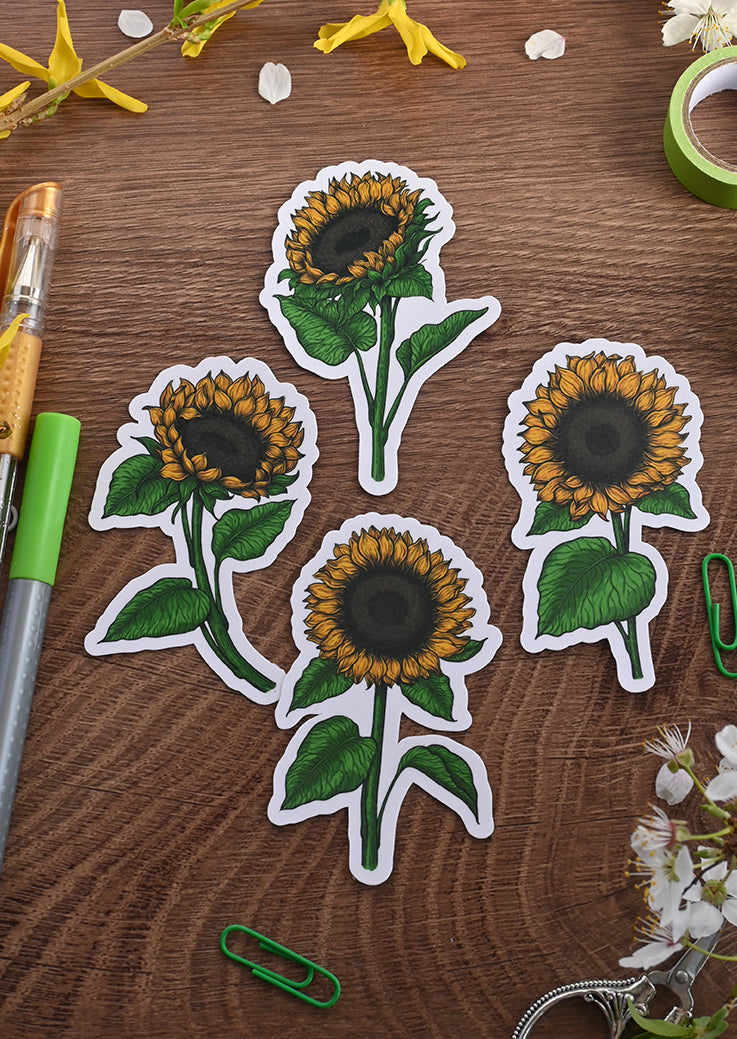 photo featuring 4 laminated paper stickers each one with printed illustration of sunflower