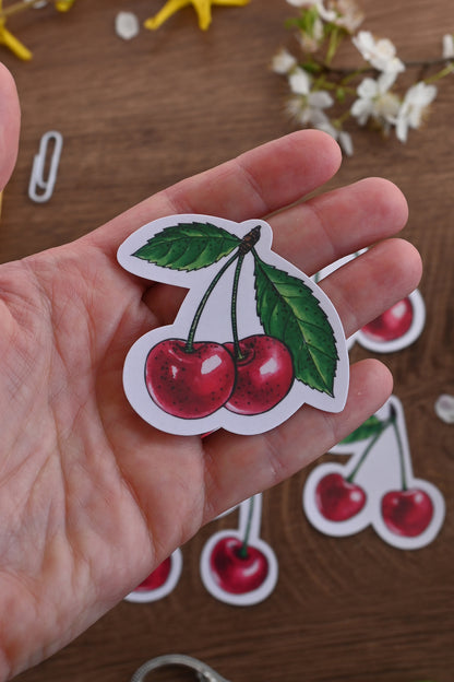 photo of laminated paper sticker featuring a pair of cherry fruits with leaves