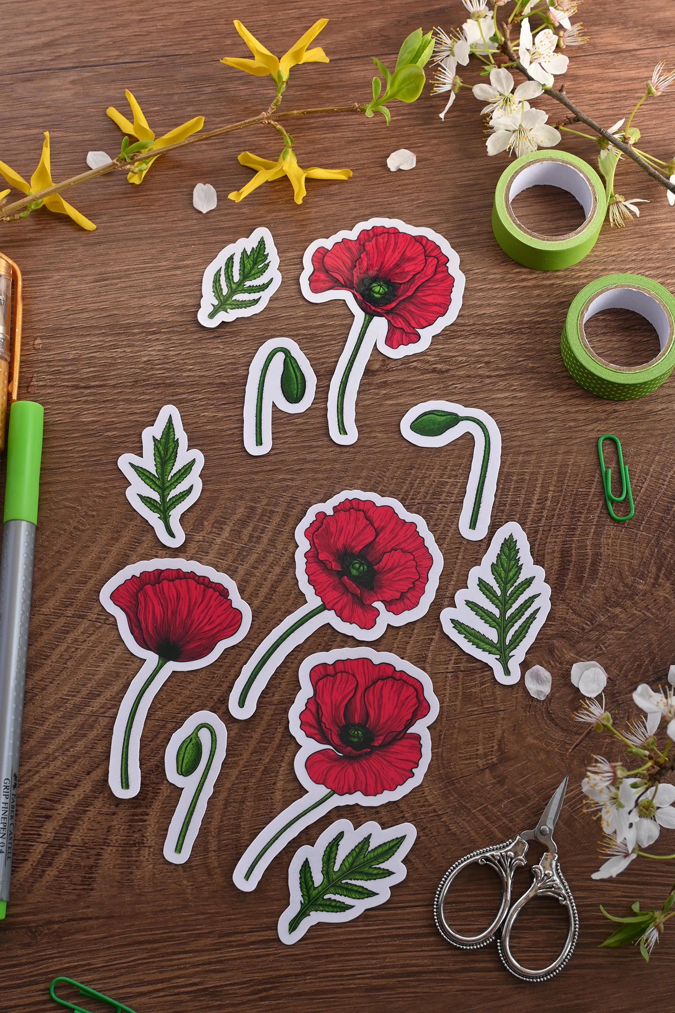 photo of a set of illustrated Red poppy flowers, buds and leaves laminated stickers