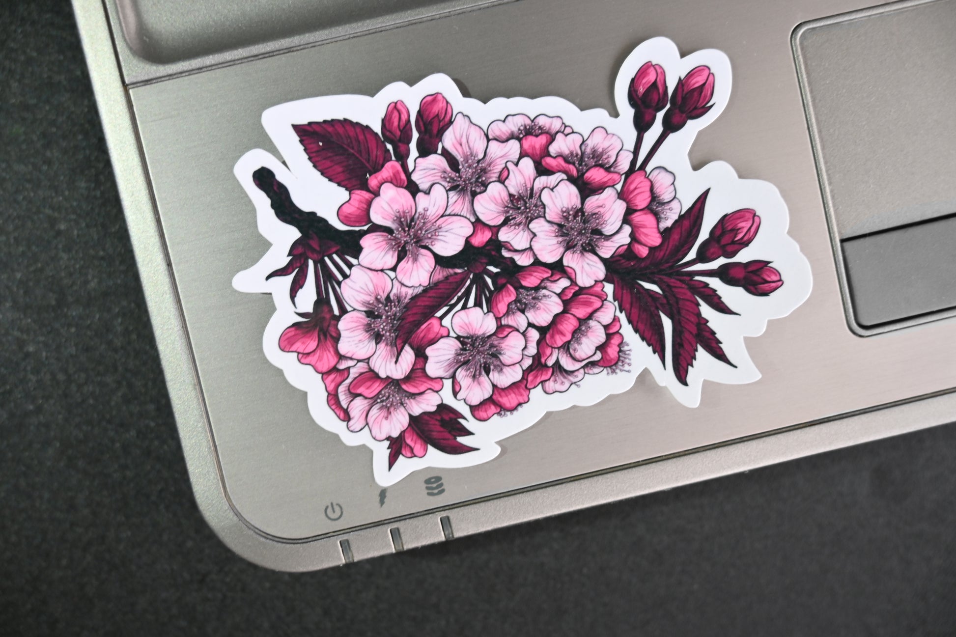 photo featuring  illustrated sticker cherry blossom branch