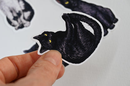 Black cat sticker held by a hand with a blurred background