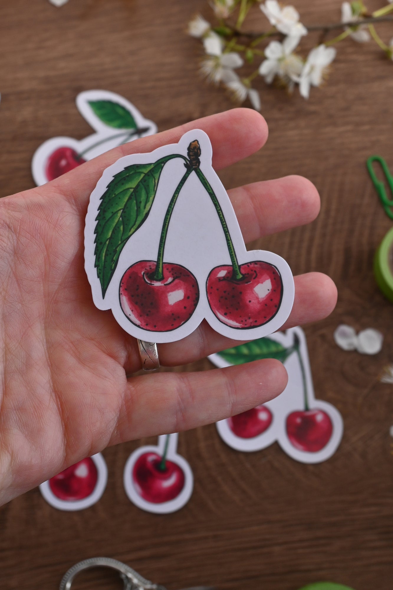 photo of laminated paper sticker featuring a pair of cherry fruits with leaf