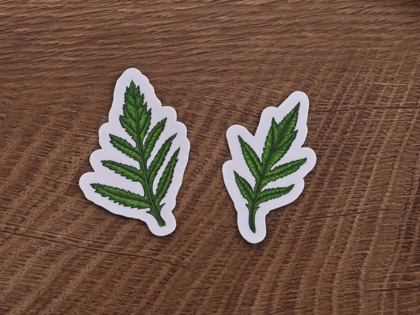 photo of a set of 2 illustrated poppy leaves laminated stickers