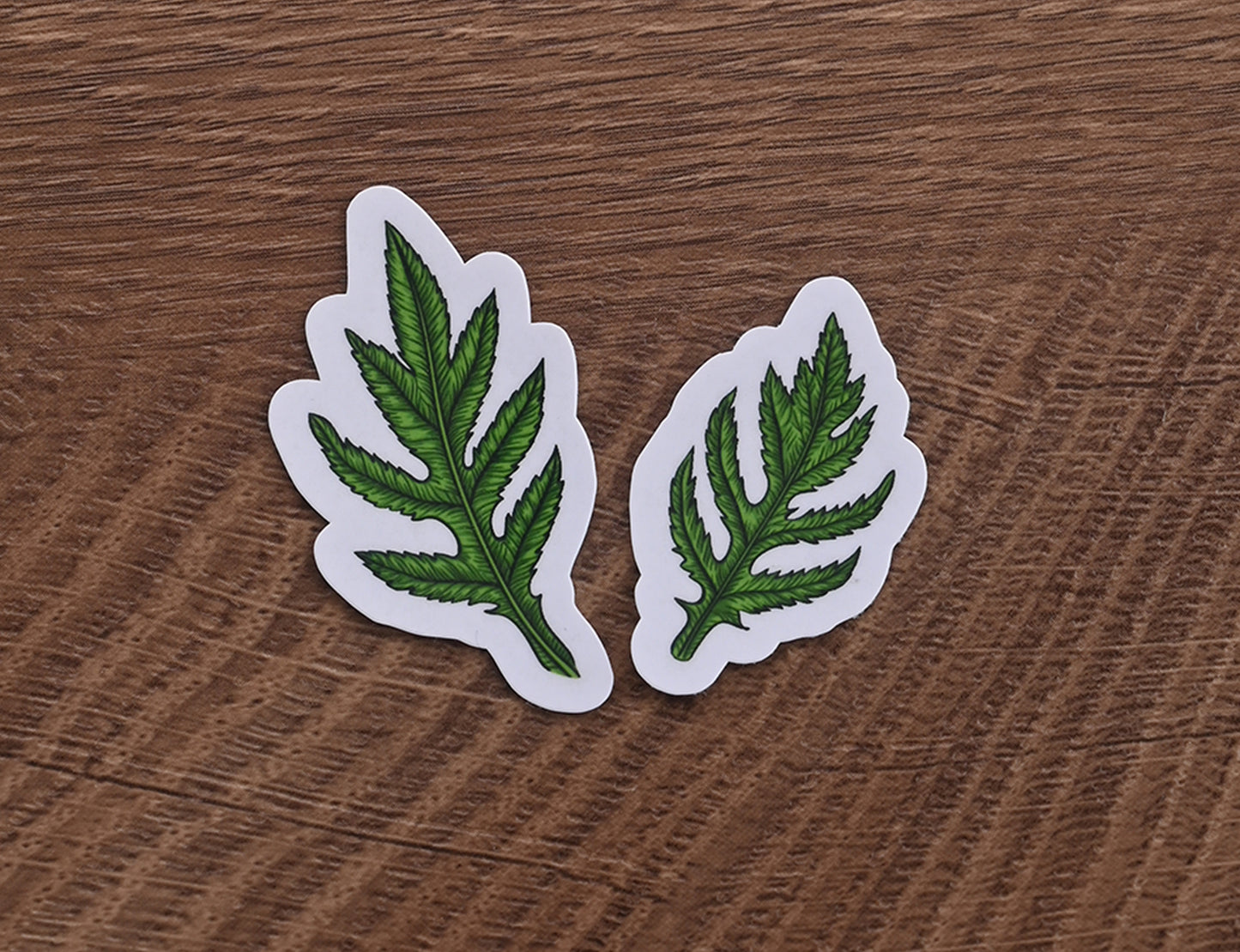 photo of a set of 2 illustrated poppy leaves laminated stickers