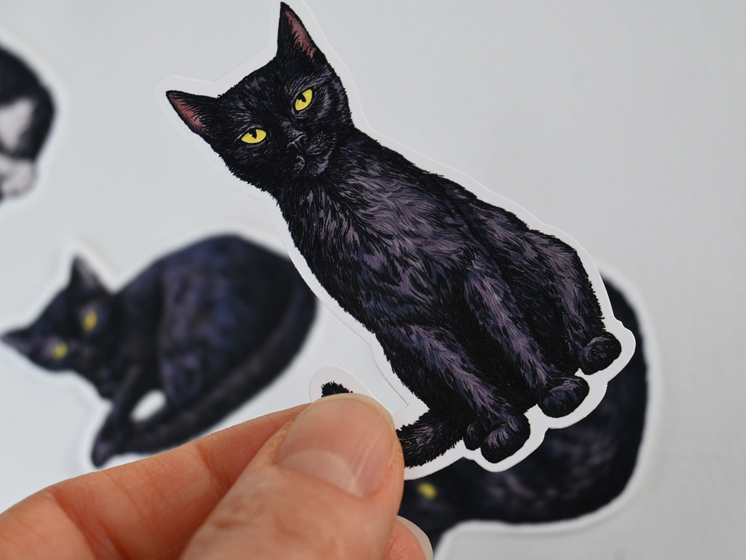 Black cat sticker held by a hand with more stickers in the background