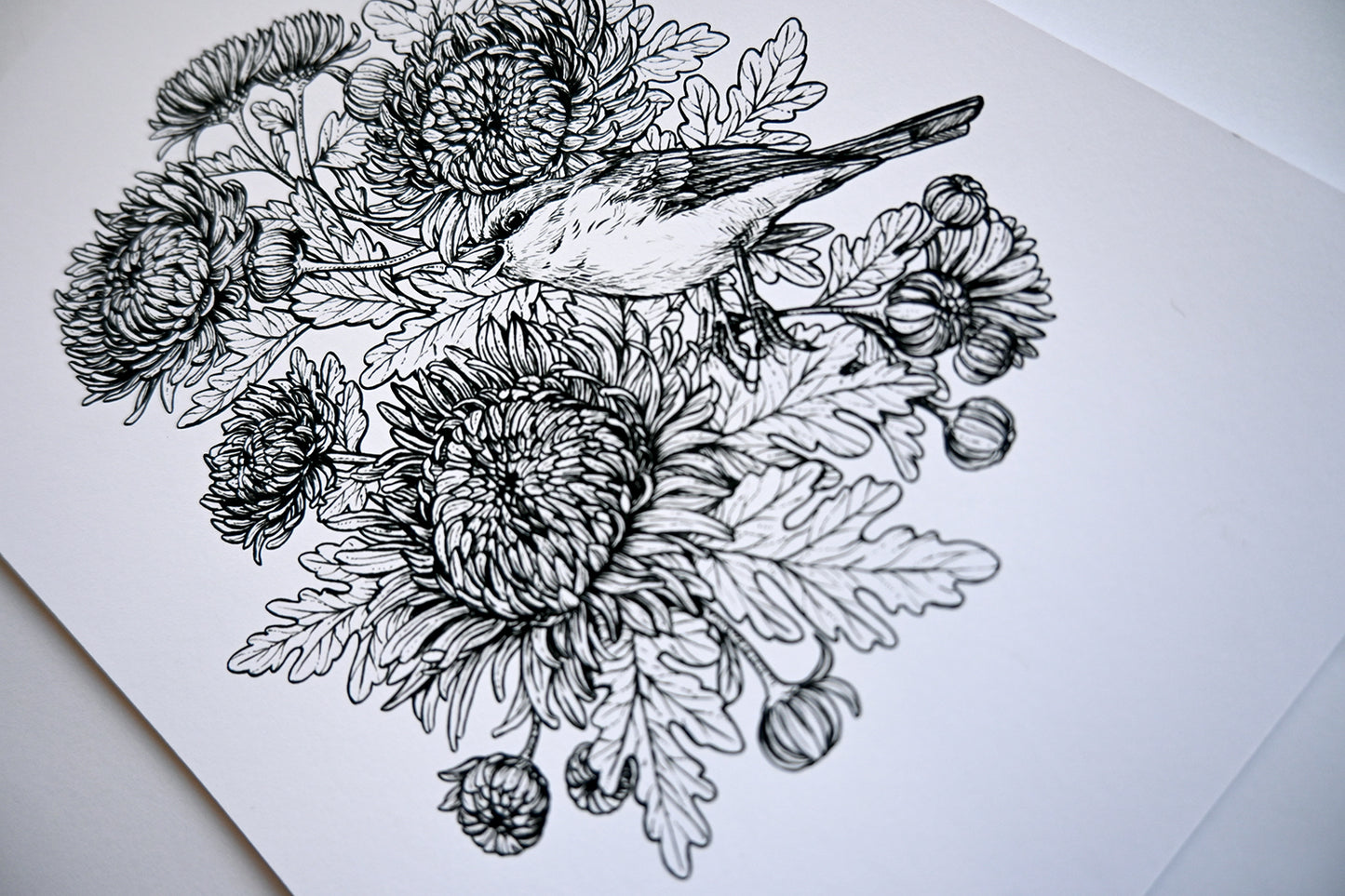 Black and white illustration of a bird among flowers on a white background