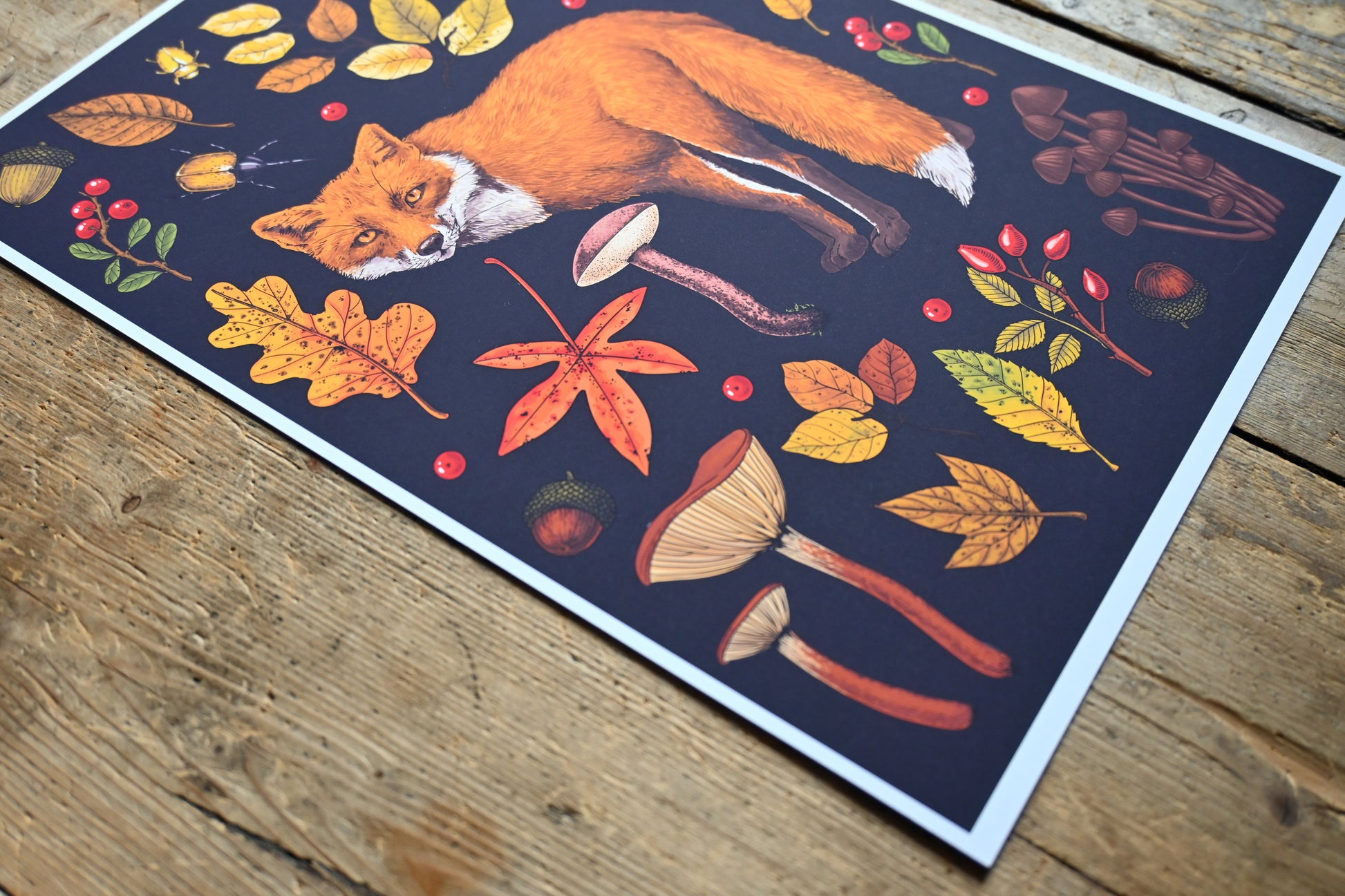 photo of Autumn fox, featuring red fox , autumnal flora, fallen leaves, mushrooms, bugs, close up