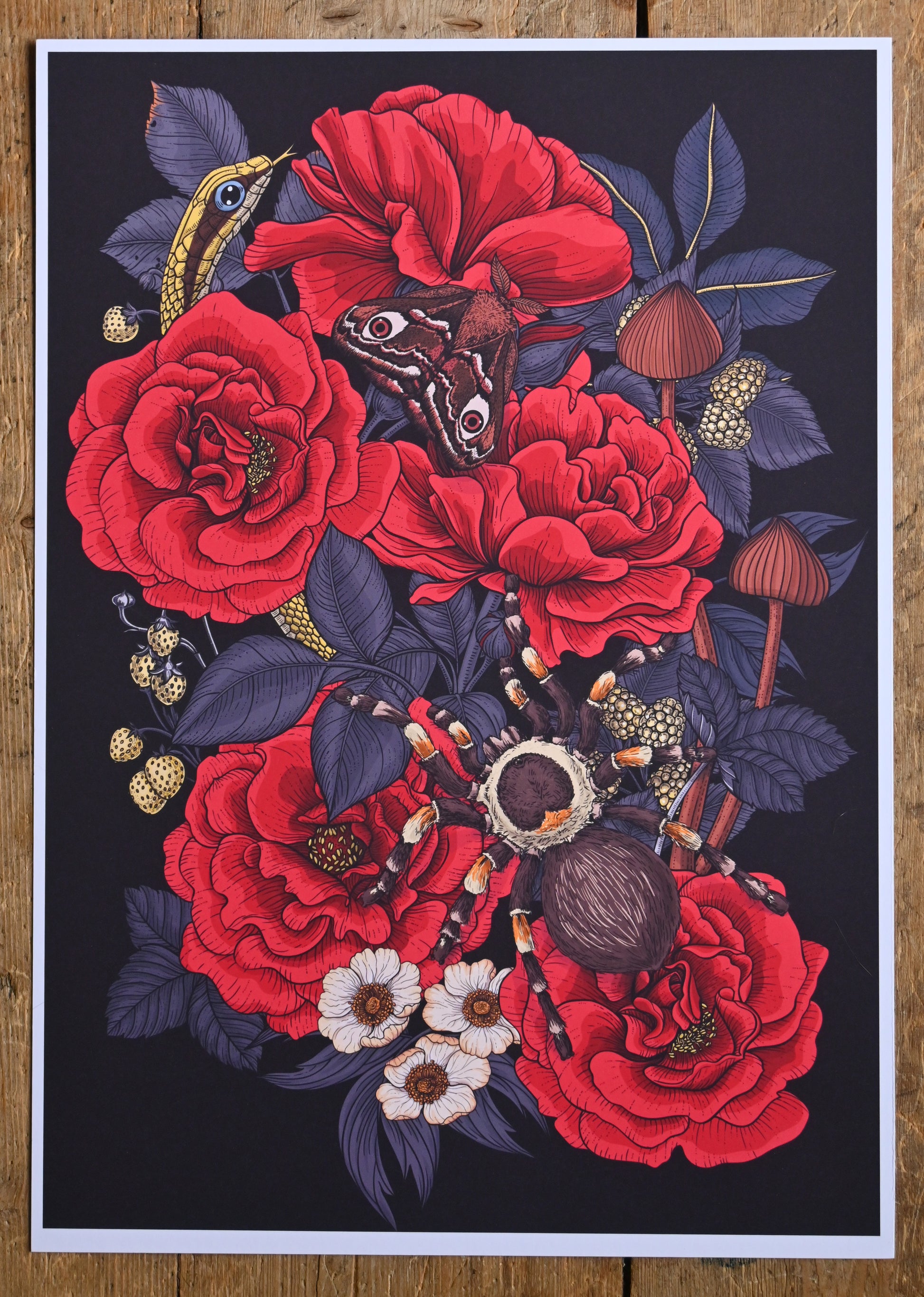 photo of an inject print of Dream garden illustration featuring, roses, berries, tarantula, snake and moth