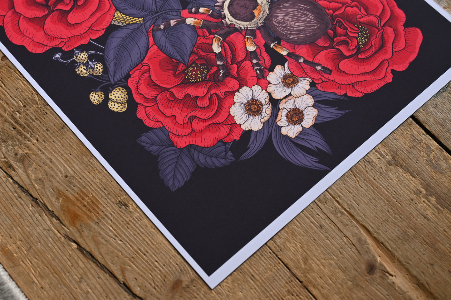 photo of an inject print of Dream garden illustration featuring, roses, berries, tarantula, snake and moth, corner view