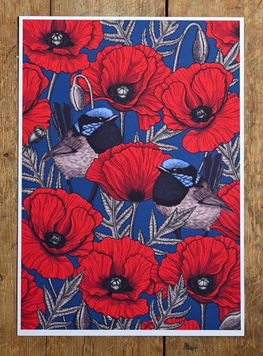 photo of Red poppies and fairy wrens