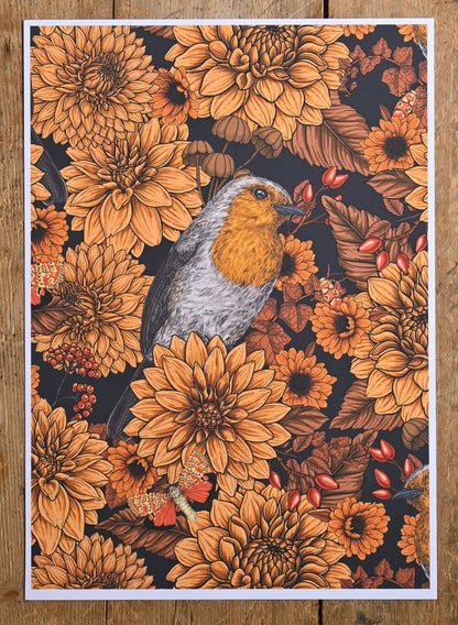 photo of Robin in the dahlias art Print