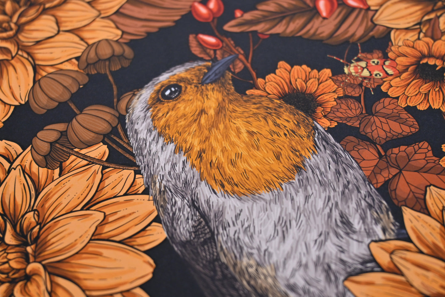 photo of Robin in the dahlias art Print, close up