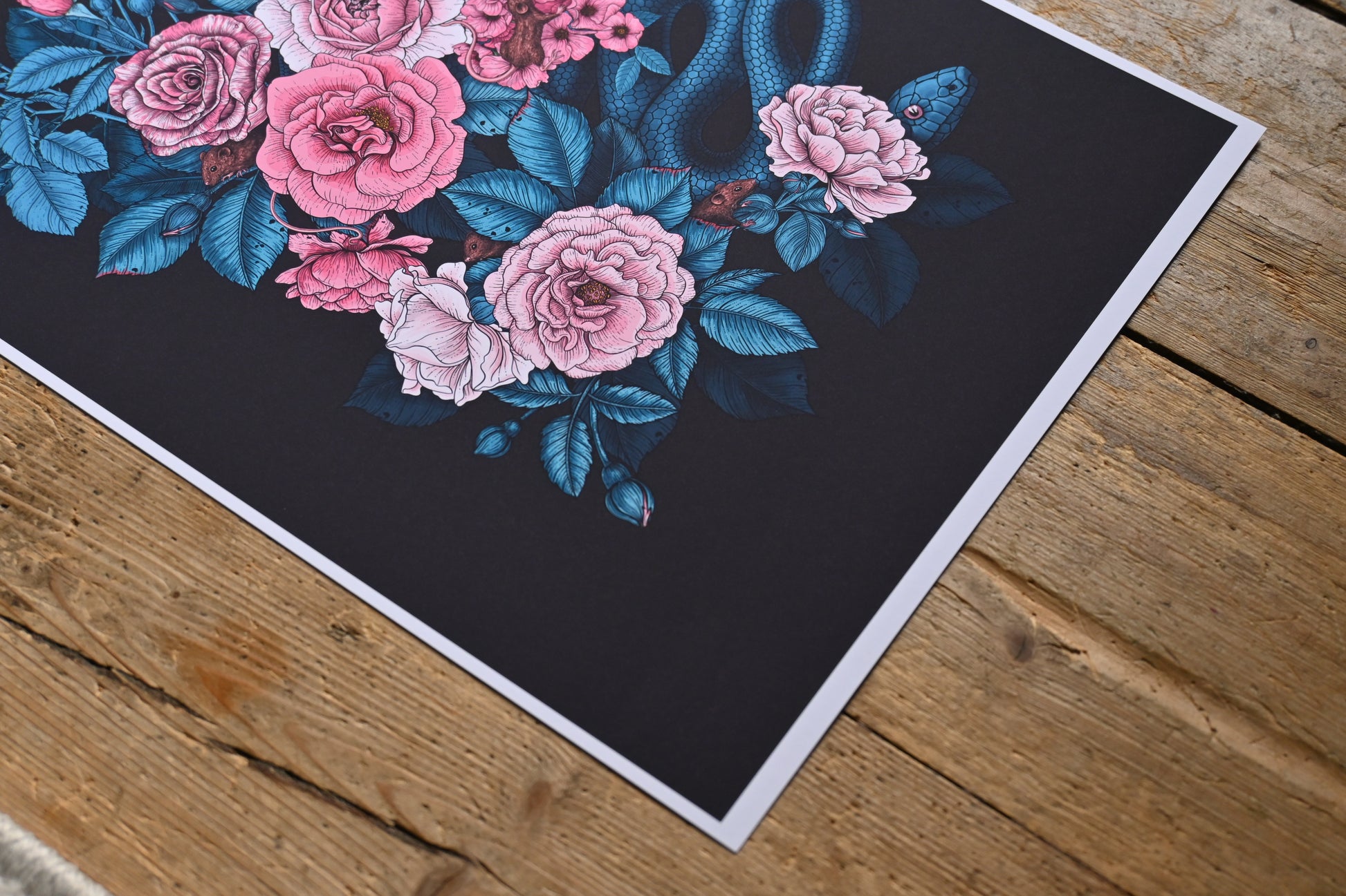 photo of a giclee print of Hidden in the roses illustration featuring, roses, snake and mice, corner photo