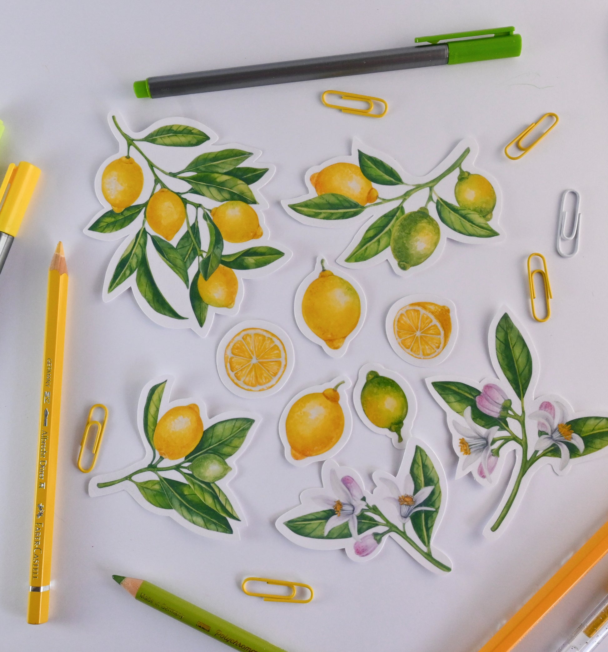 photo of a sticker featuring a lemon branch with fruit and leaves painted with watercolors