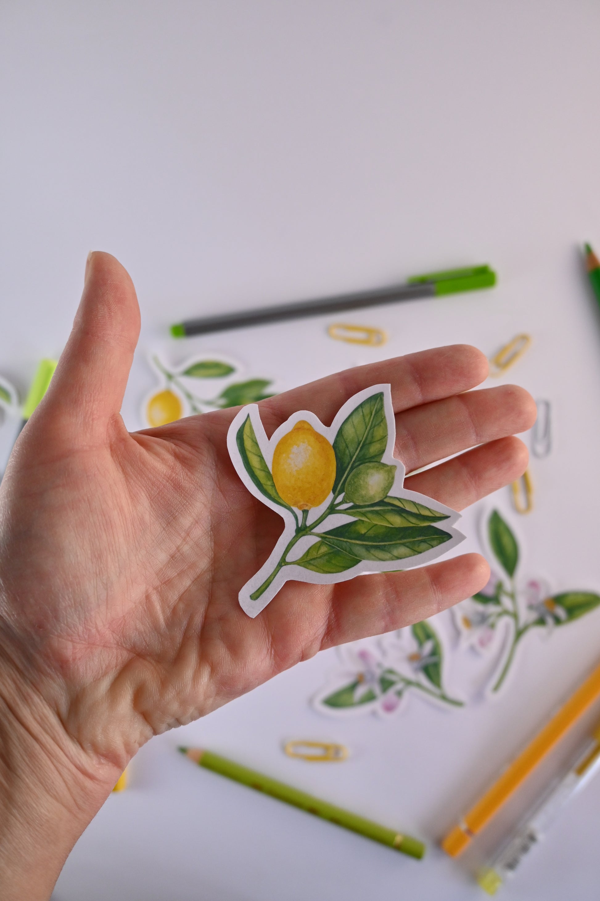 photo of a sticker featuring a lemon branch with fruit and leaves painted with watercolors