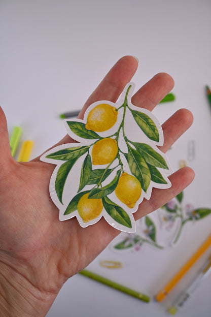 photo of a sticker featuring a lemon branch with fruit and leaves painted with watercolors