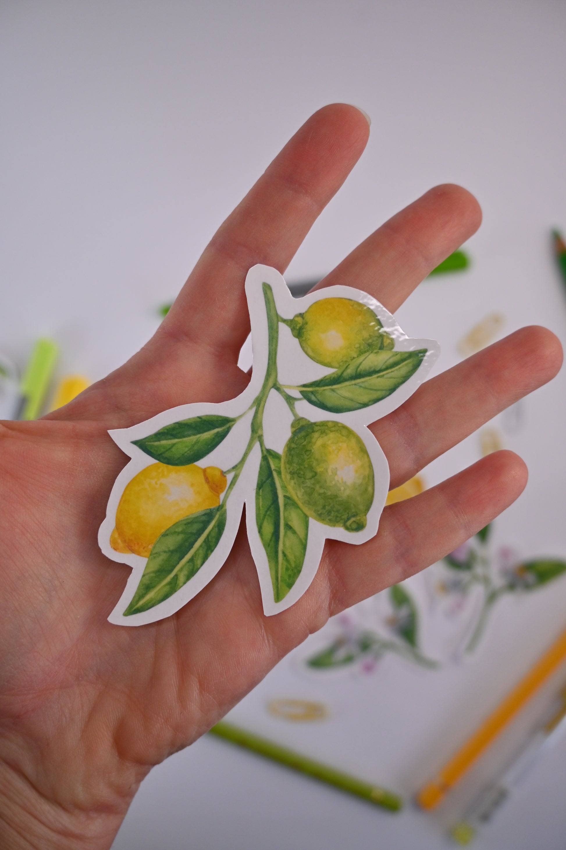 photo of a sticker featuring a lemon branch with fruit and leaves painted with watercolors